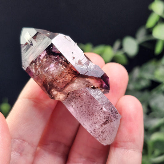 ENHYDRO Scepter Amethyst