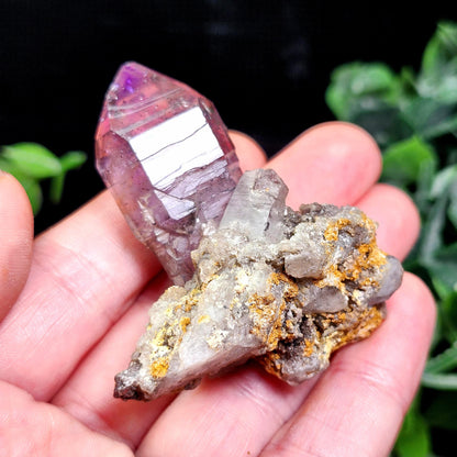 Shangaan Amethyst Cluster 37g