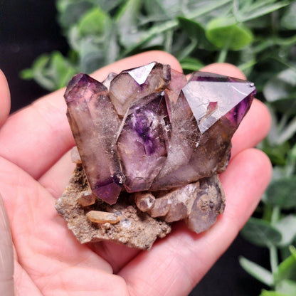 Shangaan Amethyst Crystal