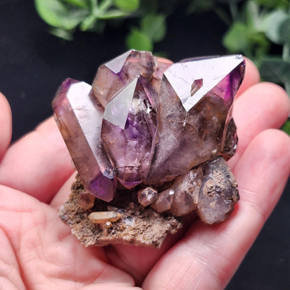 Shangaan Amethyst Crystal
