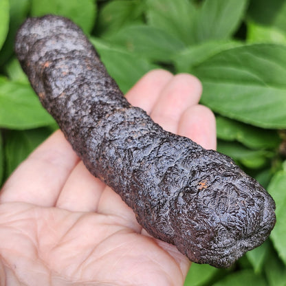 HUGE Angel Chime Prophecy Stone 319g
