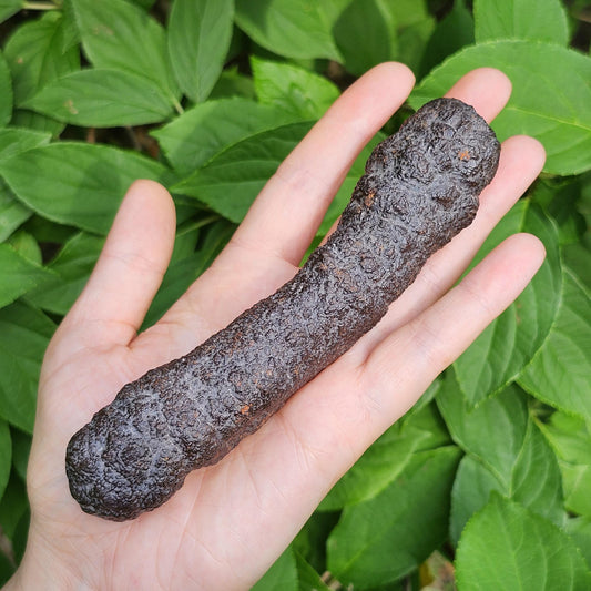 HUGE Angel Chime Prophecy Stone 319g