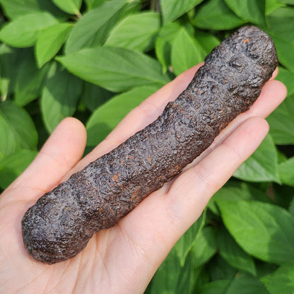 HUGE Angel Chime Prophecy Stone 319g