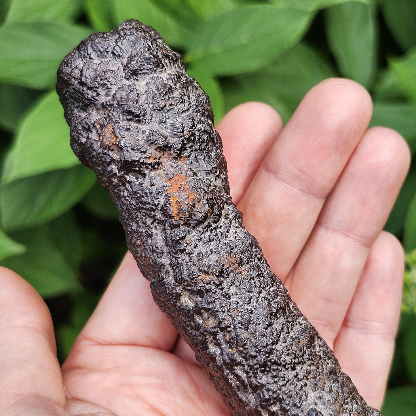HUGE Angel Chime Prophecy Stone 319g