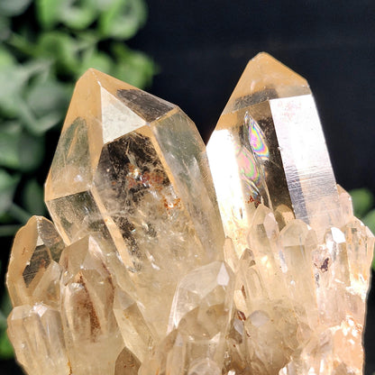 Kundalini Citrine Specimen 222g