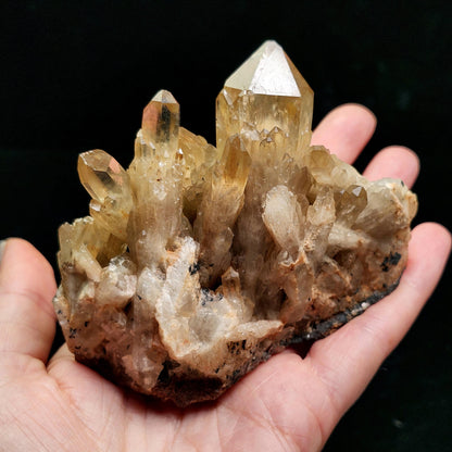 Kundalini Citrine 254g