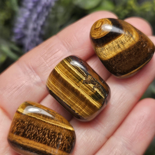 Tigers Eye Tumbled Stone