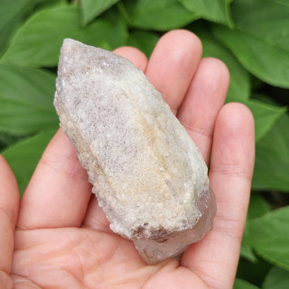 Dreamsicle Pink Lemurian Quartz 91g