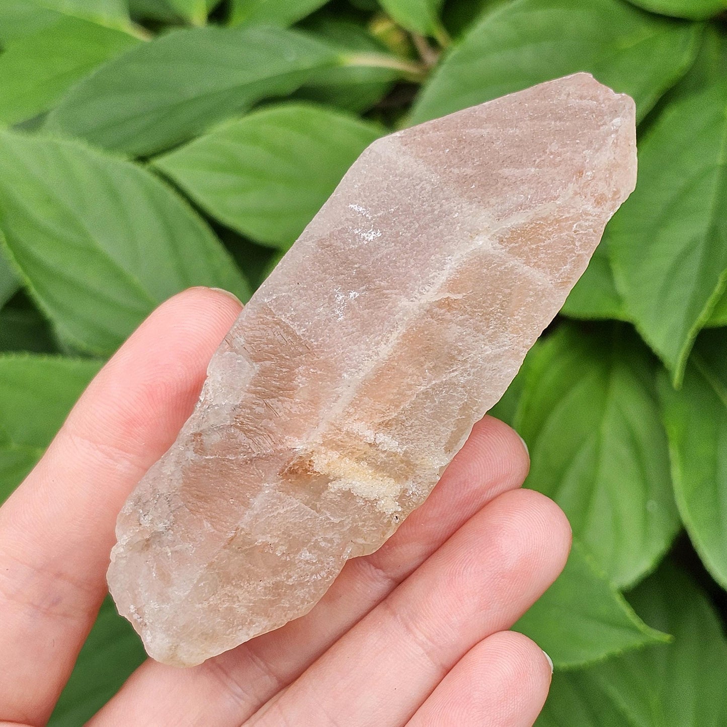 Dreamsicle Pink Lemurian Quartz 133g