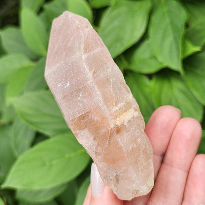 Dreamsicle Pink Lemurian Quartz 133g