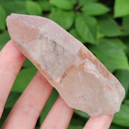 Dreamsicle Pink Lemurian Quartz 133g