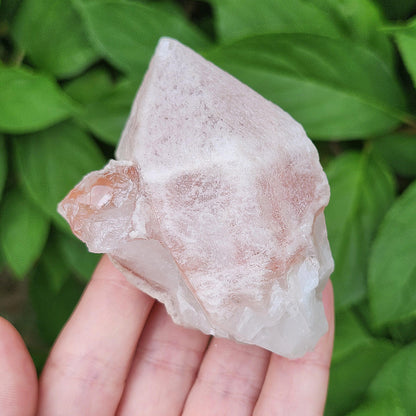 Dreamsicle Pink Lemurian Quartz 158g