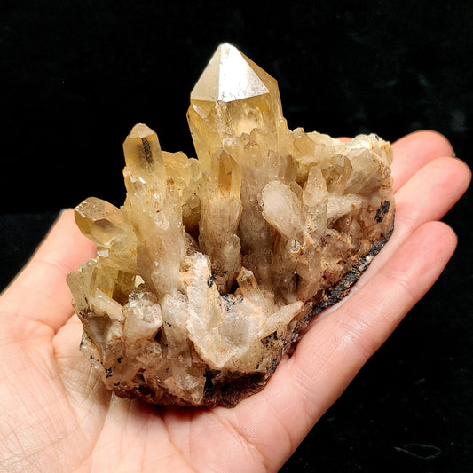 Kundalini Citrine 254g