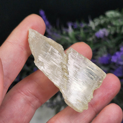 Golden Kunzite Terminated Crystal 24g