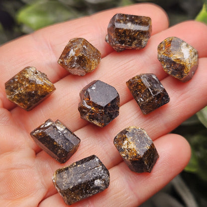 Raw Rootbeer Tourmaline