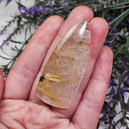 Polished Hematite Rutile Star Cabochon