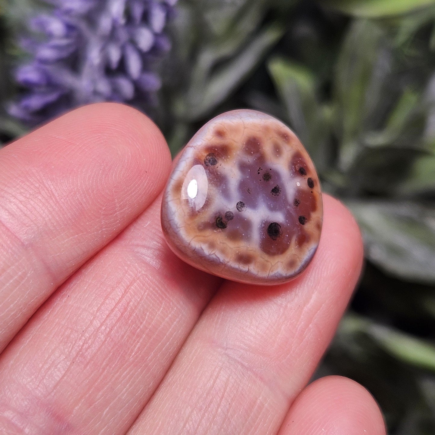 Dragon Scale Agate