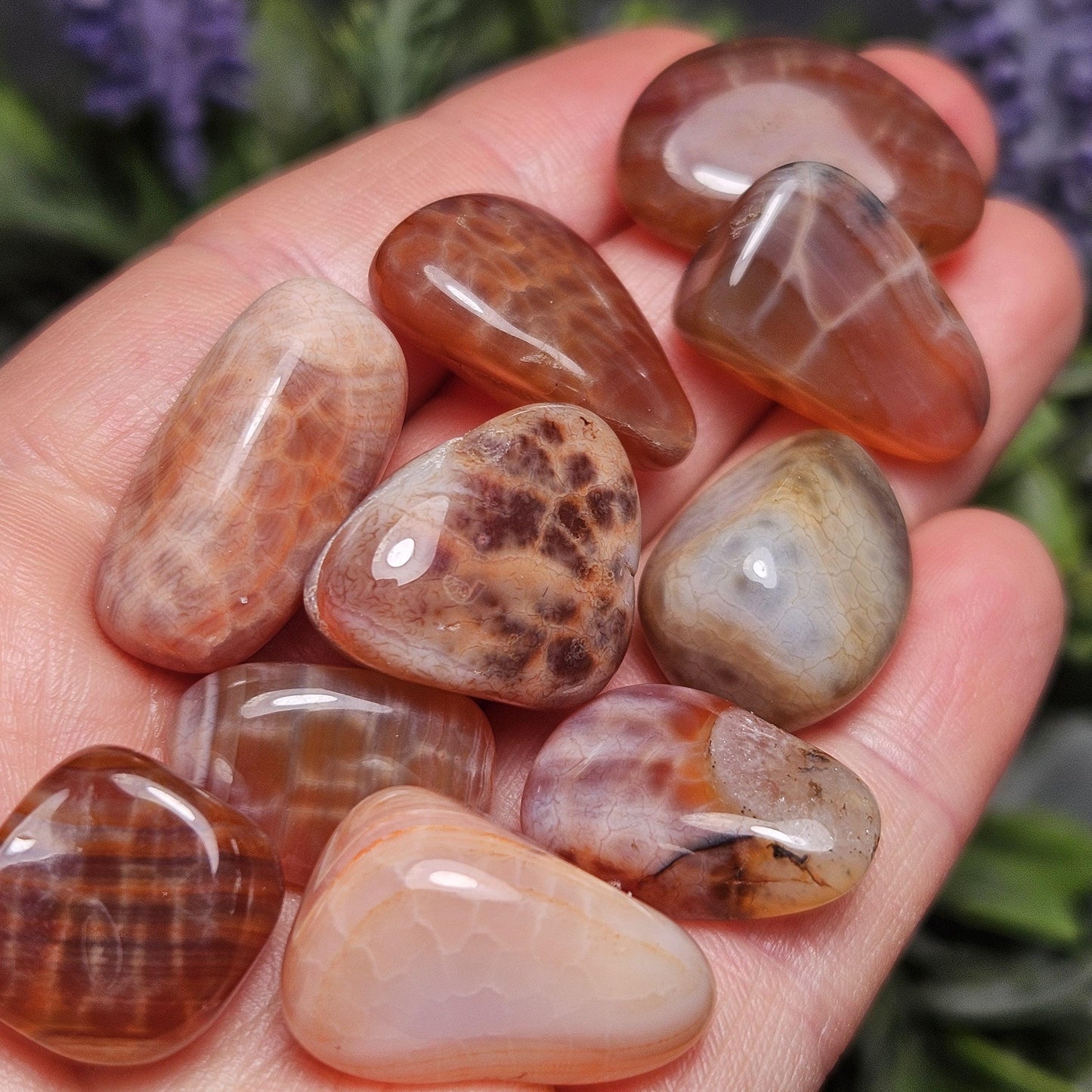 Dragon Scale Agate