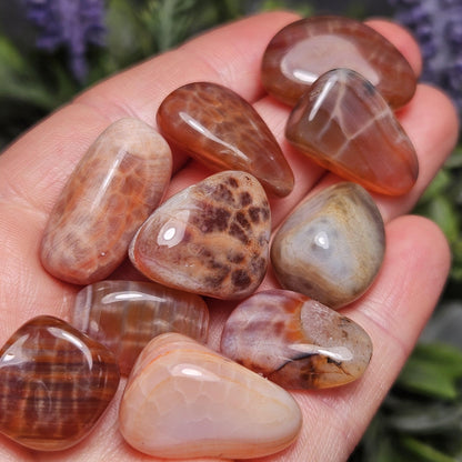 Dragon Scale Agate