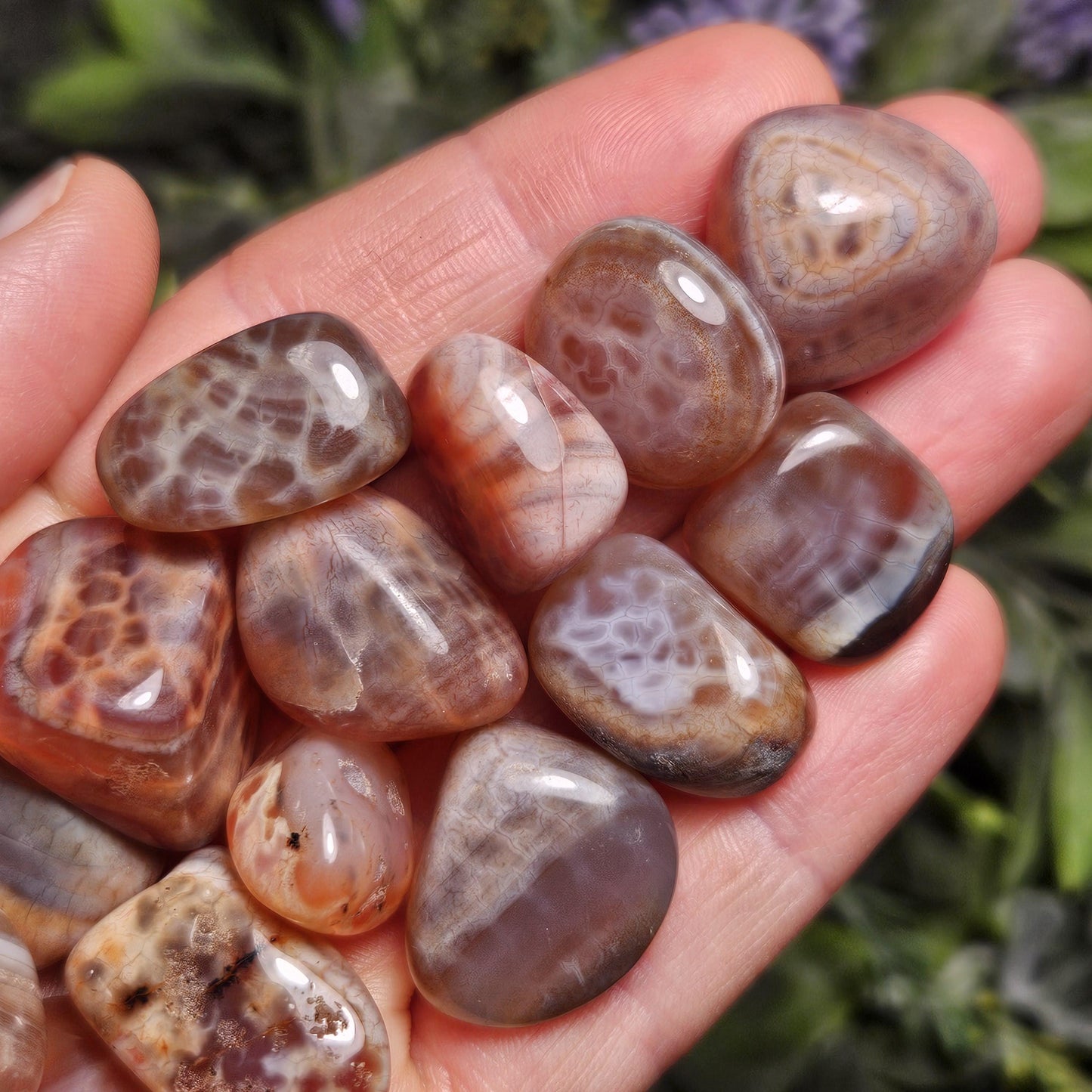 Dragon Scale Agate