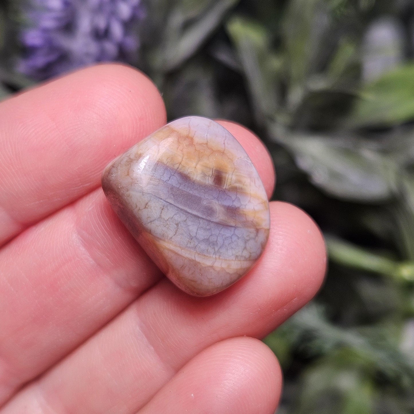 Dragon Scale Agate