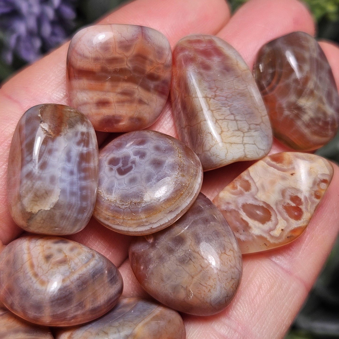 Dragon Scale Agate