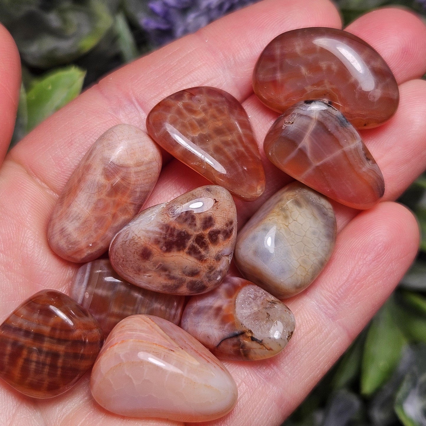 Dragon Scale Agate