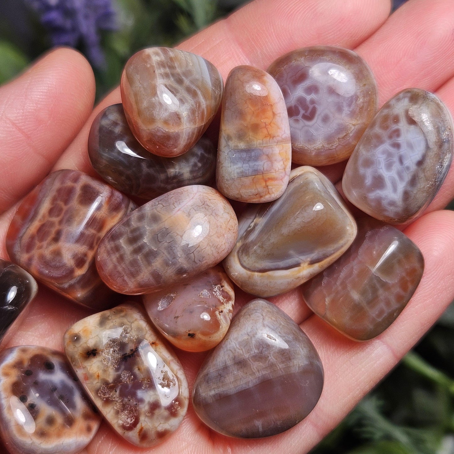 Dragon Scale Agate