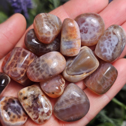 Dragon Scale Agate