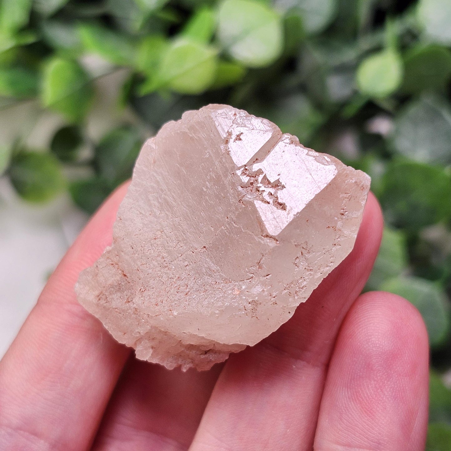 Pink Nirvana Himalayan Quartz