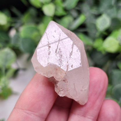 Pink Nirvana Himalayan Quartz