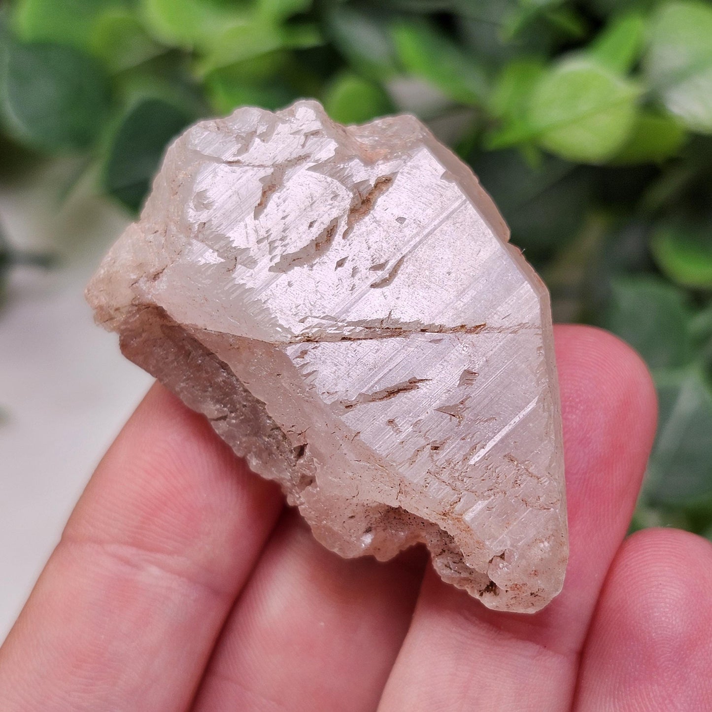Pink Nirvana Himalayan Quartz