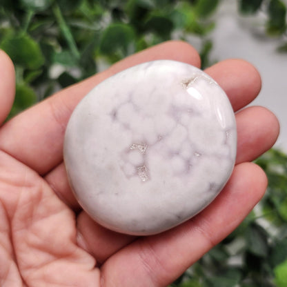 Snow Agate Palm Stone
