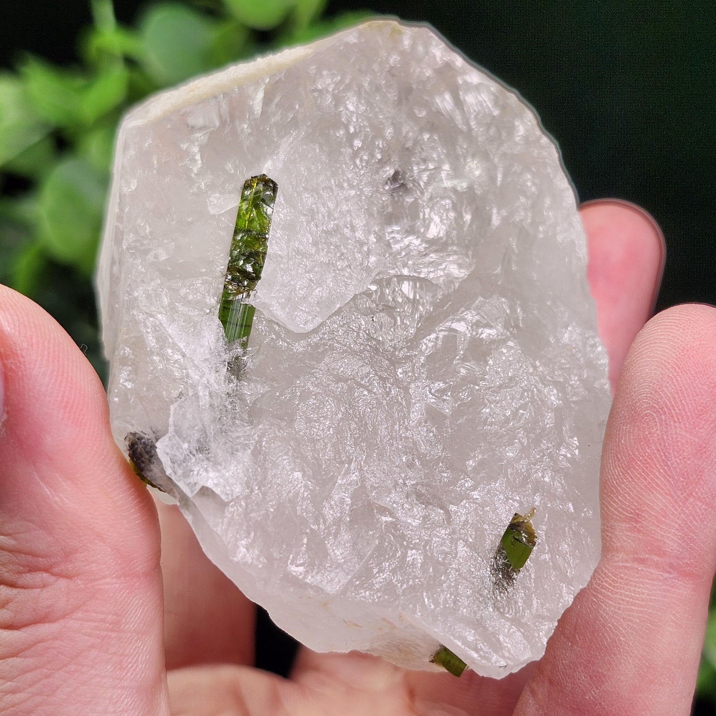 Green Tourmaline in Quartz Crystal