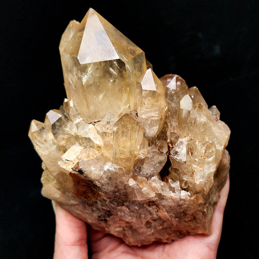 HUGE Kundalini Citrine 1.6lb