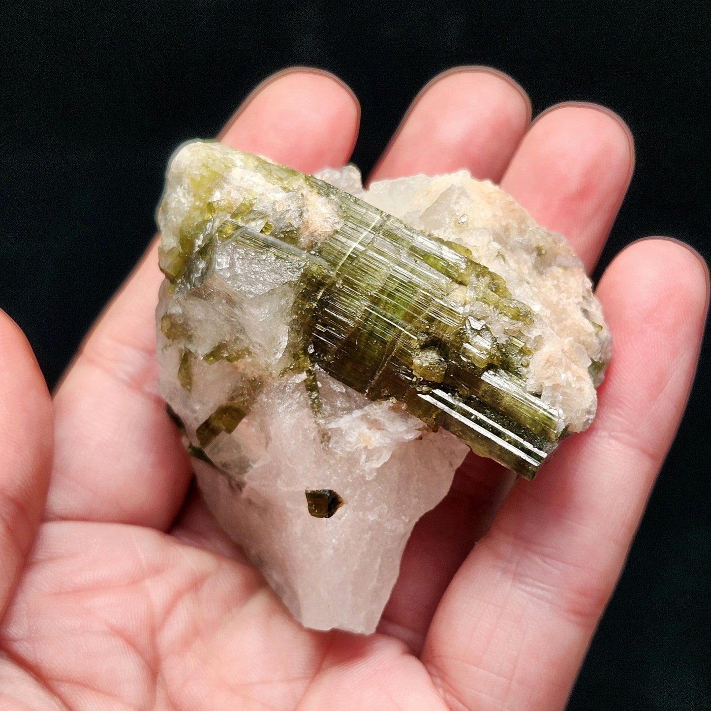 Green Tourmaline Crystal in Quartz (99 grams): Brazilian Tourmaline Specimen