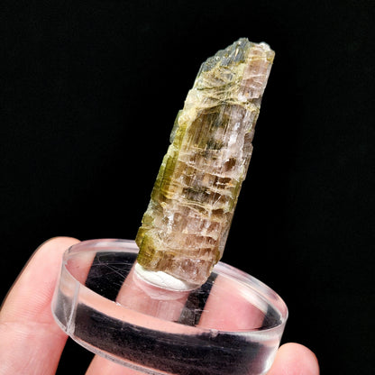 Watermelon Tourmaline Crystal 24g
