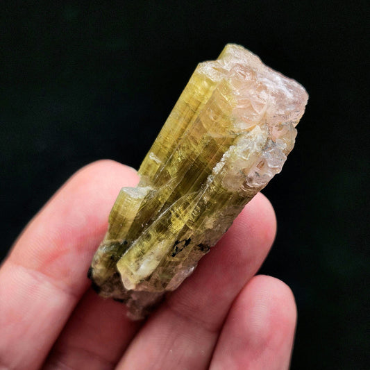 Watermelon Tourmaline Crystal 24g