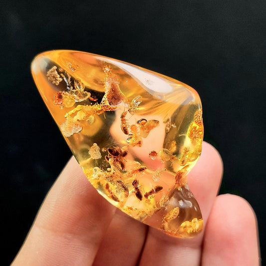 Amber with Bugs & Static ENHYDRO