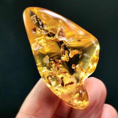 Amber with Bugs & Static ENHYDRO