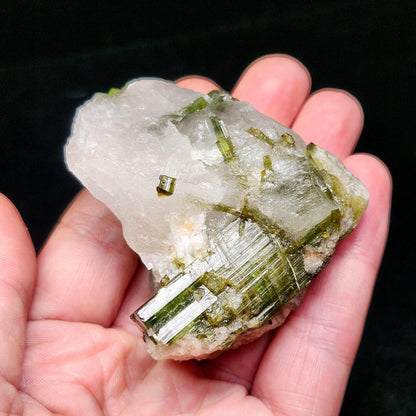 Green Tourmaline Crystal in Quartz (99 grams): Brazilian Tourmaline Specimen