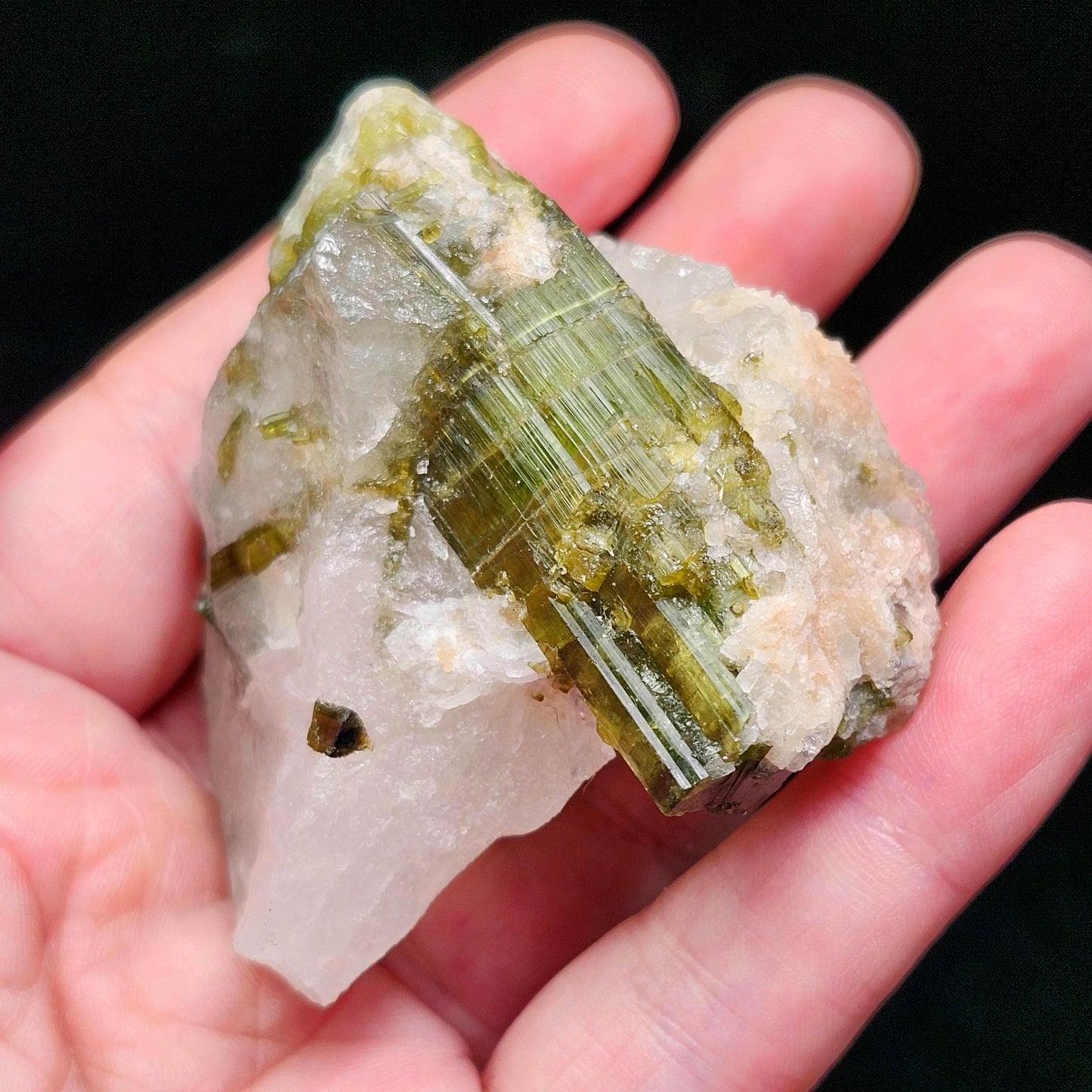 Green Tourmaline Crystal in Quartz (99 grams): Brazilian Tourmaline Specimen