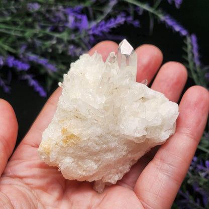 Lemurian Quartz Cluster 109g