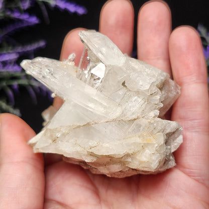 Lemurian Quartz Cluster 120g