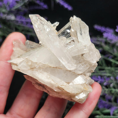 Lemurian Quartz Cluster 120g