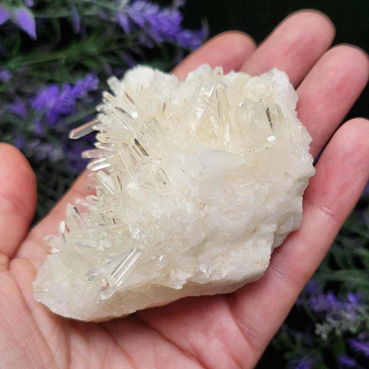 Lemurian Quartz Cluster 205g