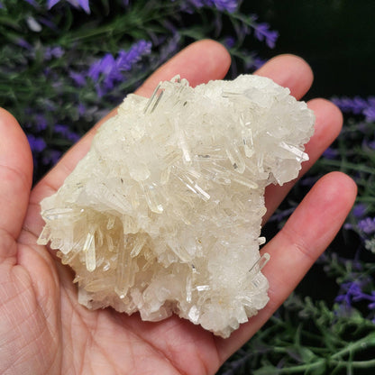 Lemurian Quartz Cluster 205g