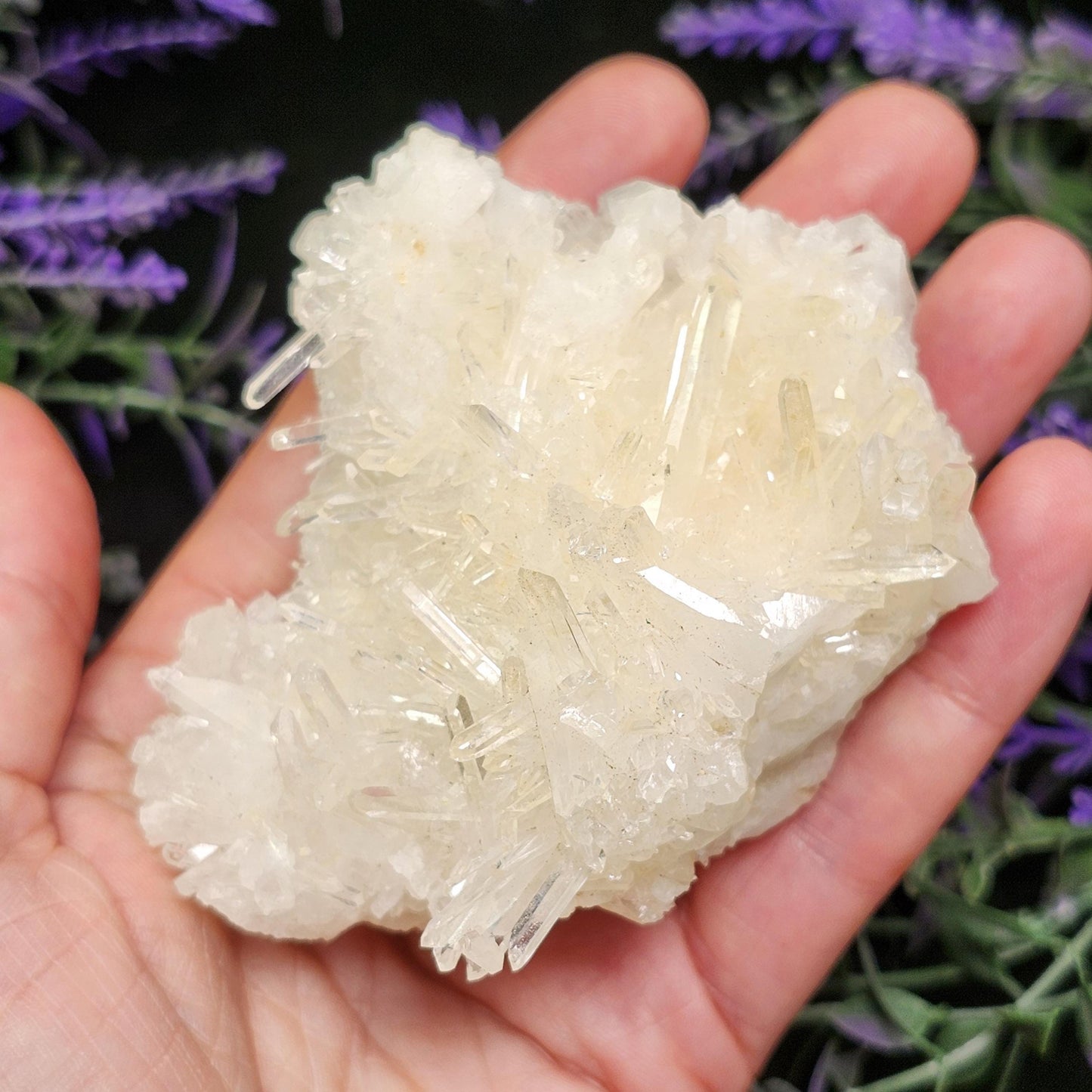Lemurian Quartz Cluster 205g