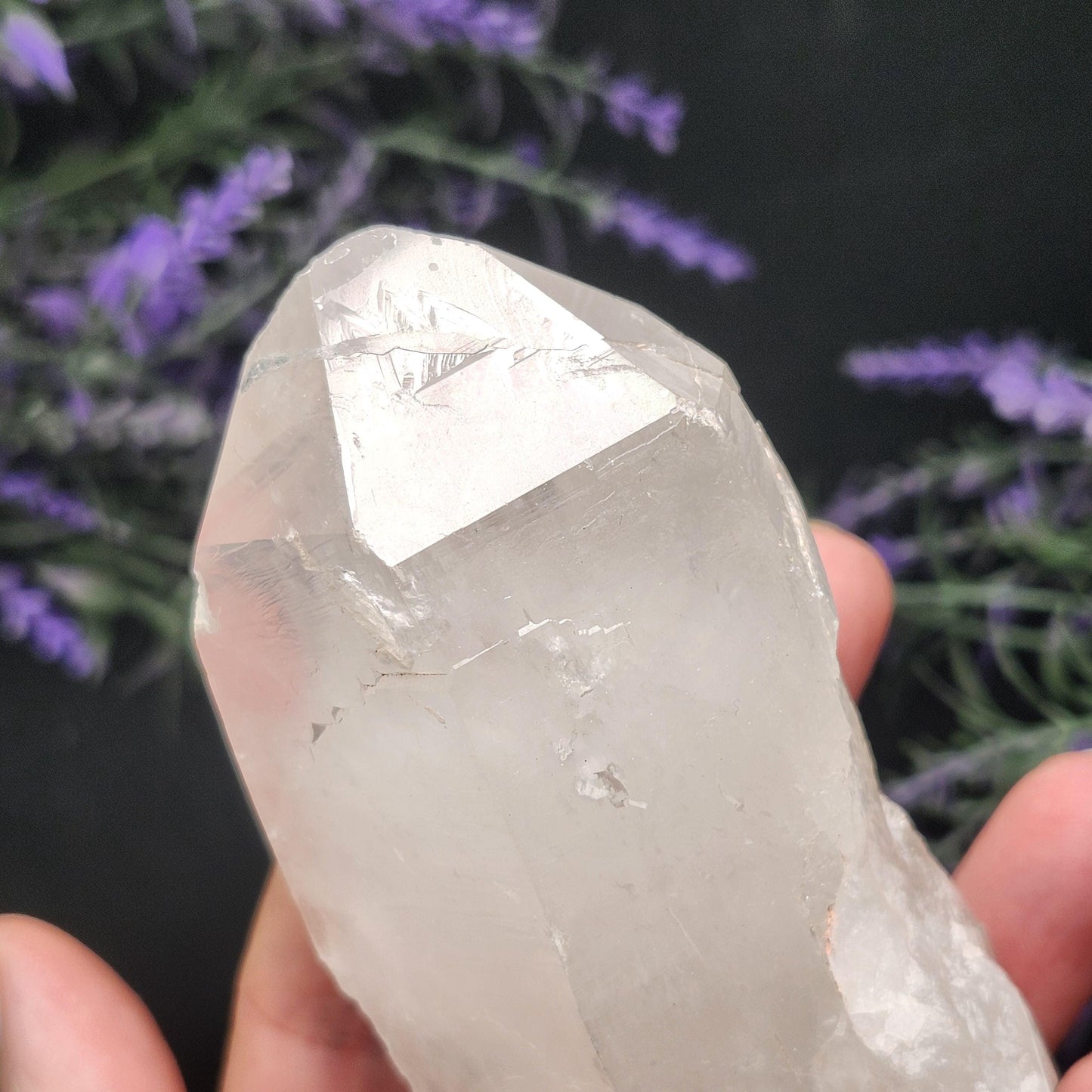 Lemurian Quartz Crystal 304g
