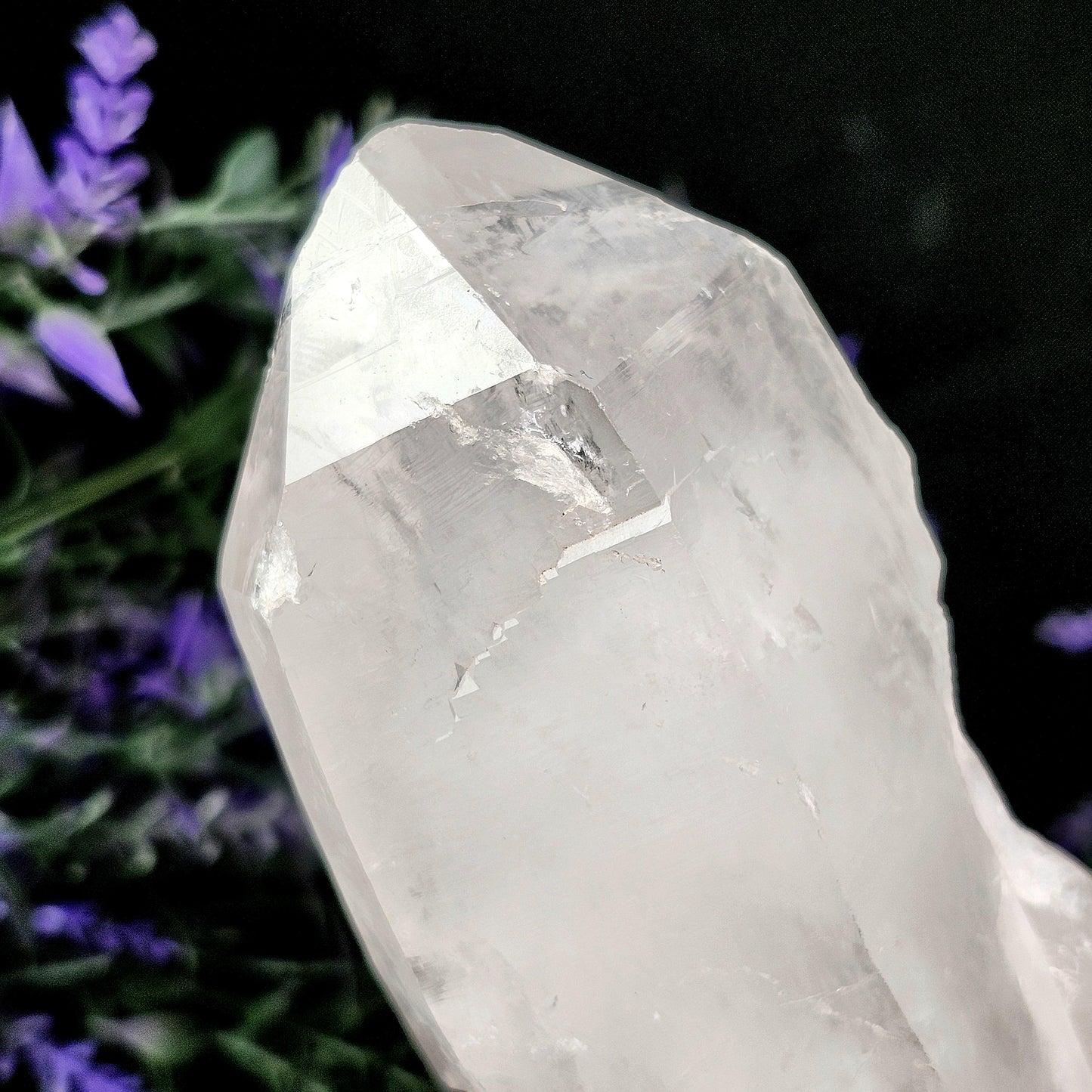 Lemurian Quartz Crystal 304g